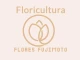 Logo de Flores Fujimoto Container