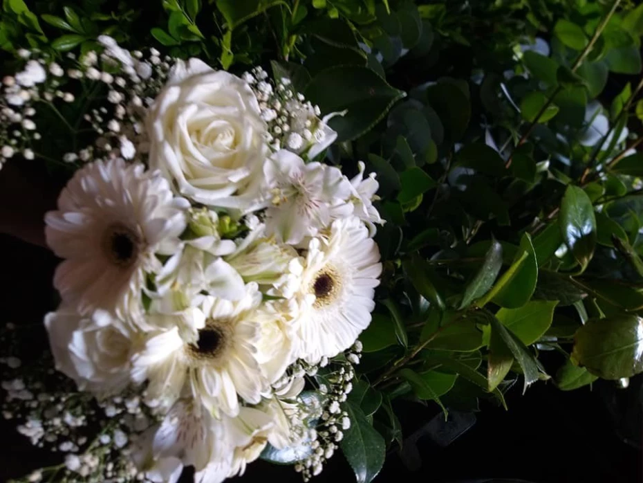 Foto 14:  — Flores Fujimoto Container