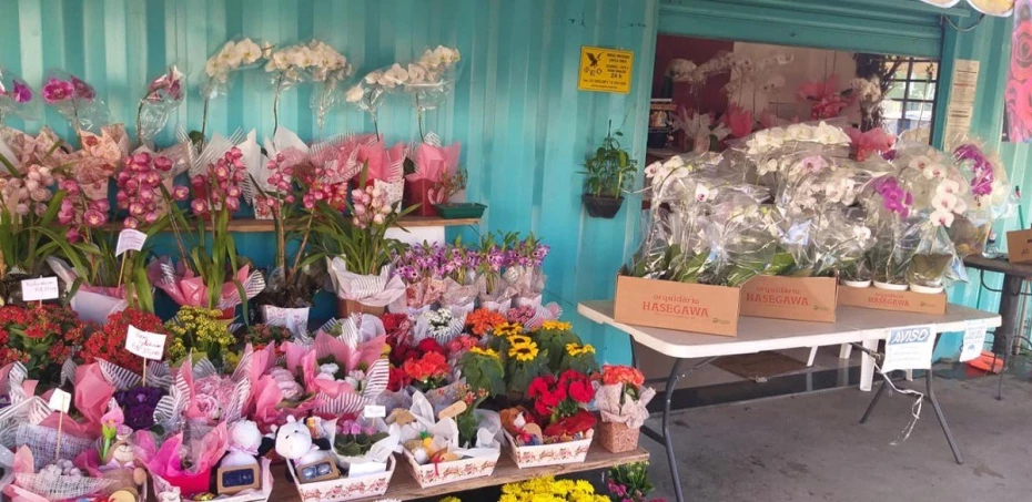 Foto 5:  — Flores Fujimoto Container