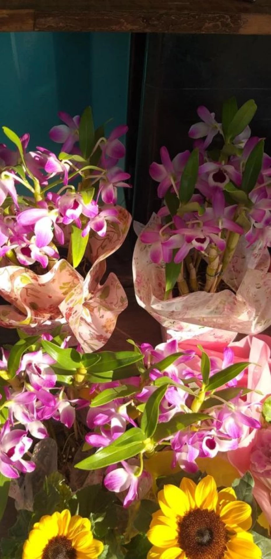 Foto 3:  — Flores Fujimoto Container